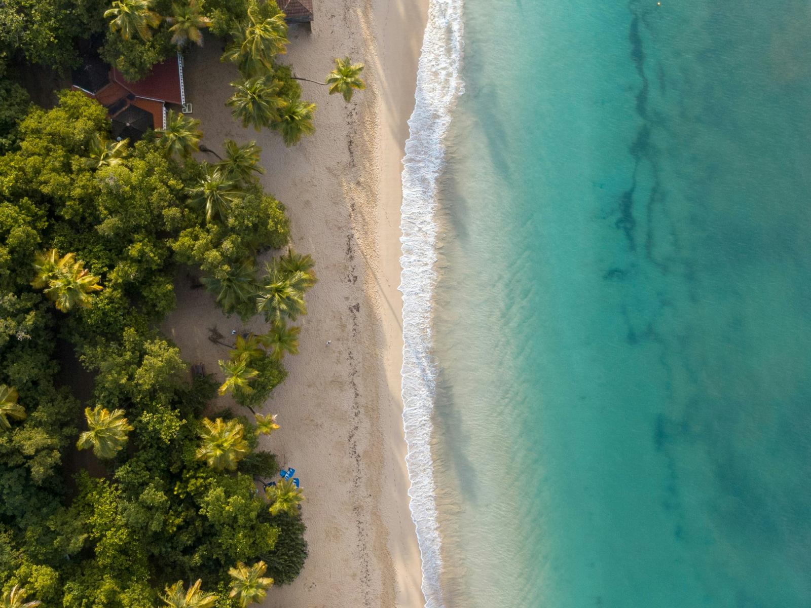 Croisière d'une journée au départ de la Martinique