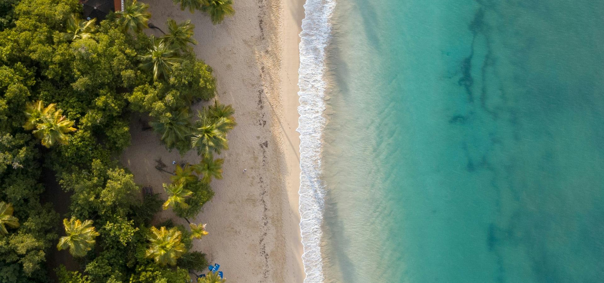Croisière en catamaran en Martinique